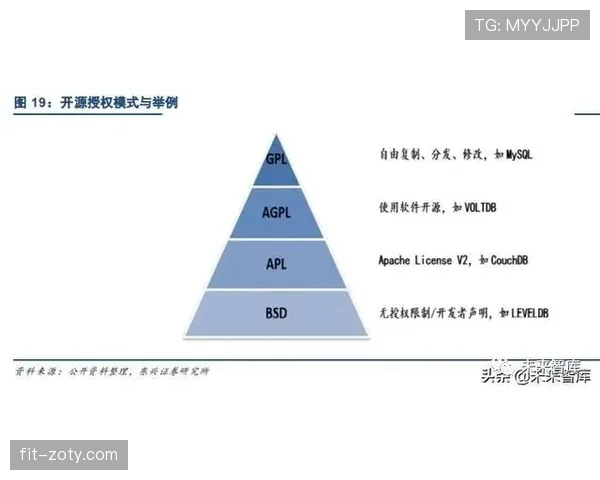 加纳乔如何从偶发闪光蜕变为稳定输出？数据解析其成长路径与能力跃迁